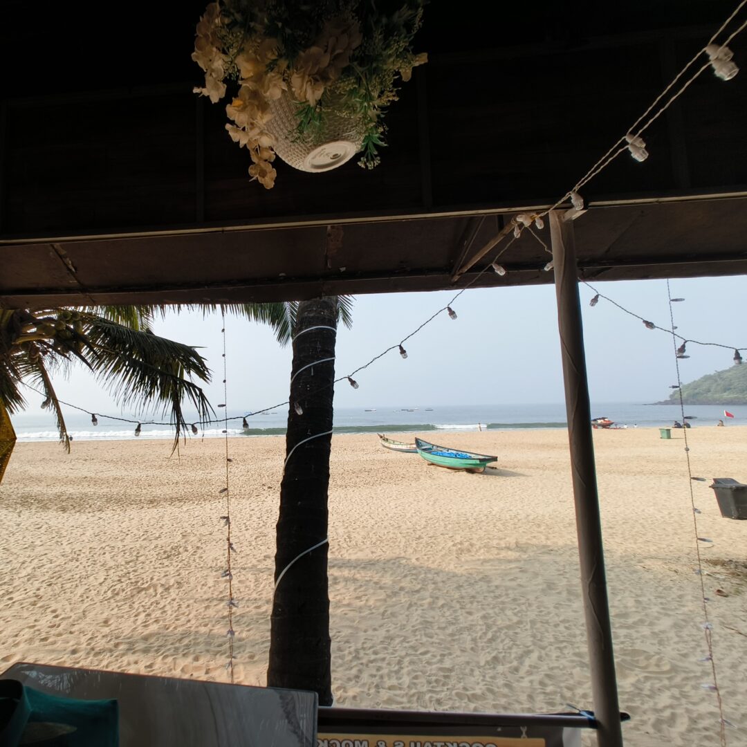 IMG_20241226_092727613