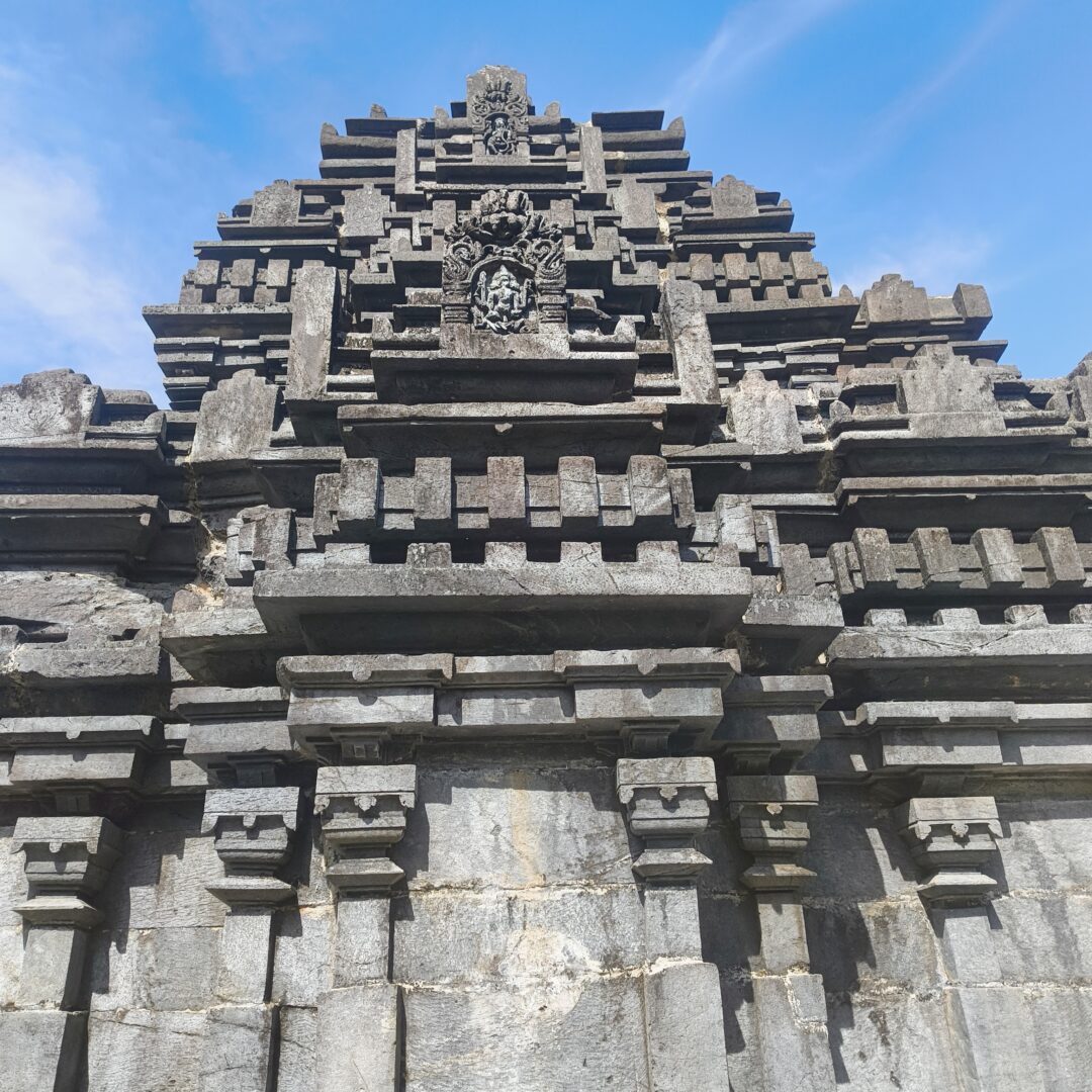 IMG_20241230_121440609