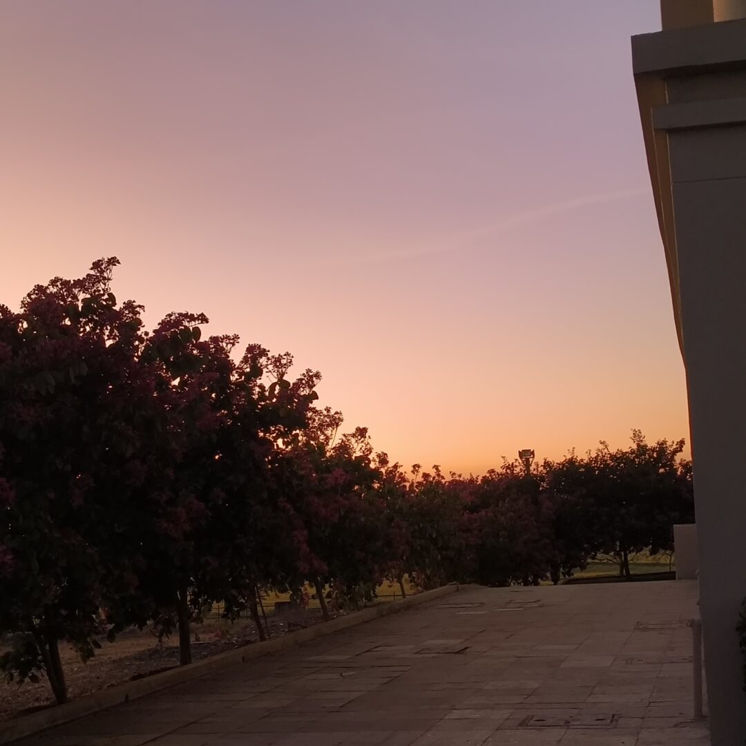 IMG_20250128_183225111